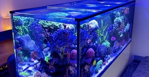 Glasabdeckung für Aquarium oder Terrarium